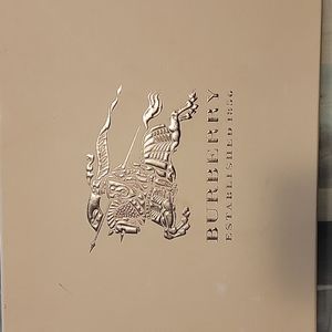 Large Burberry box
